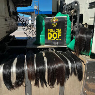 Mais de cem quilos de cabelo humano que seguiam para S&atilde;o Paulo s&atilde;o apreendidos pelo DOF em Corumb&aacute;