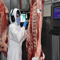 Exporta&ccedil;&atilde;o de industrializados de MS em abril atinge US$ 492 milh&otilde;es