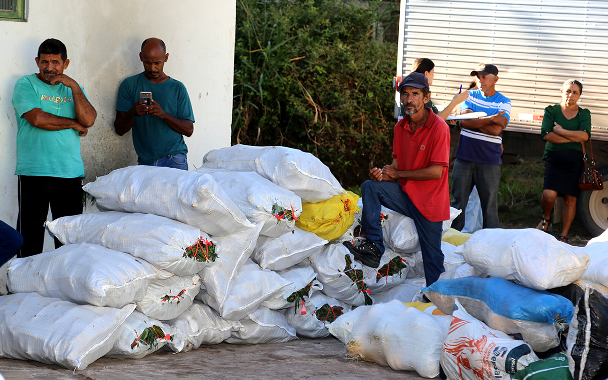 Com entrega de alimentos por agricultores familiares, dos assentamentos rurais, prefeito lança PAA