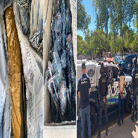 Receita Federal apreende 7 kg de Skunk e 150 fetos de lhamas em Corumb&aacute; durante fiscaliza&ccedil;&atilde;o de rotina