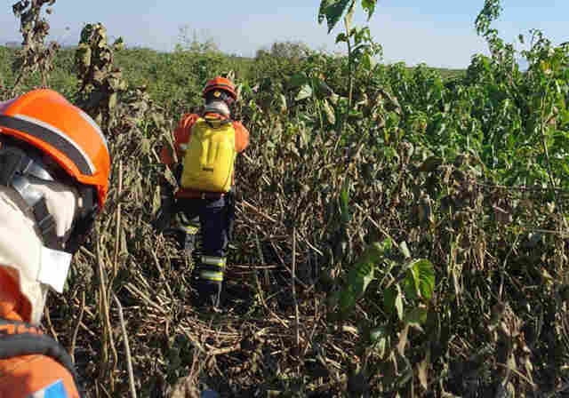 Bombeiros de MS atuam para controlar inc&ecirc;ndio em Corumb&aacute; e desenvolvem a&ccedil;&otilde;es em outras duas regi&otilde;es