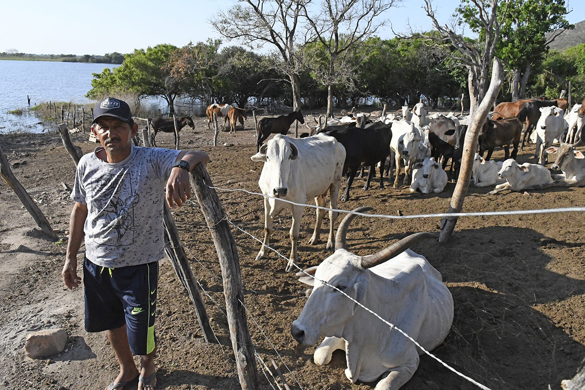 Diretrizes ambientais pautam ações do Governo de MS e definem perfil dos investimentos no Estado