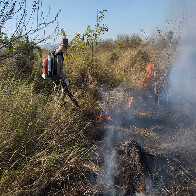 Opera&ccedil;&atilde;o in&eacute;dita em MS garante atua&ccedil;&atilde;o dos bombeiros em &aacute;reas de dif&iacute;cil acesso do Pantanal