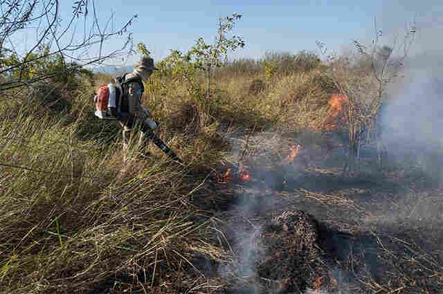 Opera&ccedil;&atilde;o in&eacute;dita em MS garante atua&ccedil;&atilde;o dos bombeiros em &aacute;reas de dif&iacute;cil acesso do Pantanal