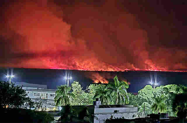 Pantanal: Deputados da ALEMS prop&otilde;em audi&ecirc;ncia para solucionar queimadas