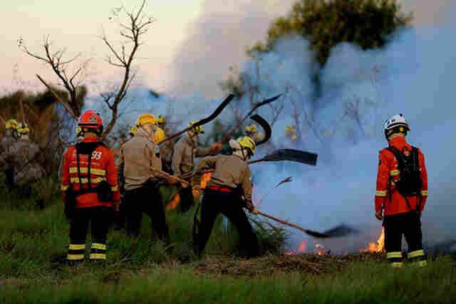 Treinamento de combate ao fogo qualifica novos soldados dos Bombeiros para atuar em inc&ecirc;ndios florestais