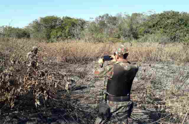 MS j&aacute; aplicou R$ 54 milh&otilde;es em multas por inc&ecirc;ndios no Pantanal, e mutir&atilde;o vai acelerar processos