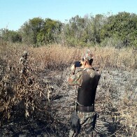 MS j&aacute; aplicou R$ 54 milh&otilde;es em multas por inc&ecirc;ndios no Pantanal, e mutir&atilde;o vai acelerar processos