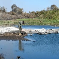 Gretap: equipe do Governo de MS no Pantanal monitora &aacute;reas queimadas em busca de animais feridos