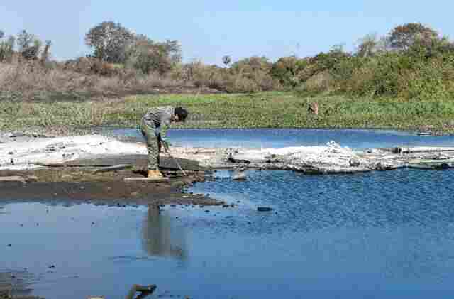 Gretap: equipe do Governo de MS no Pantanal monitora &aacute;reas queimadas em busca de animais feridos