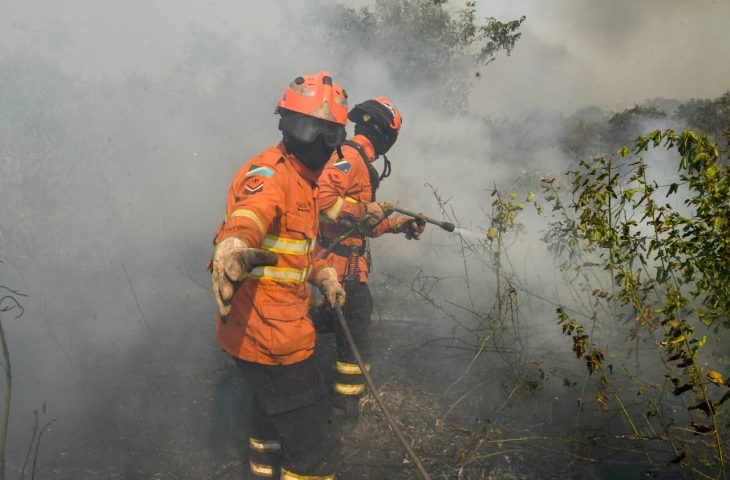 Luta dos Bombeiros contra o fogo no Pantanal &eacute; cont&iacute;nua e emociona quem &eacute; salvo das chamas