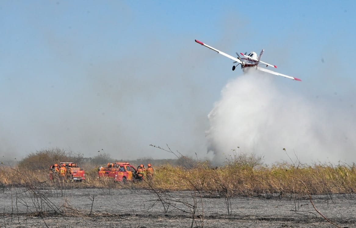 Pantaneiros elogiam ação coordenada contra o fogo e destacam bombeiros: ‘sem eles, seria derrota na certa’