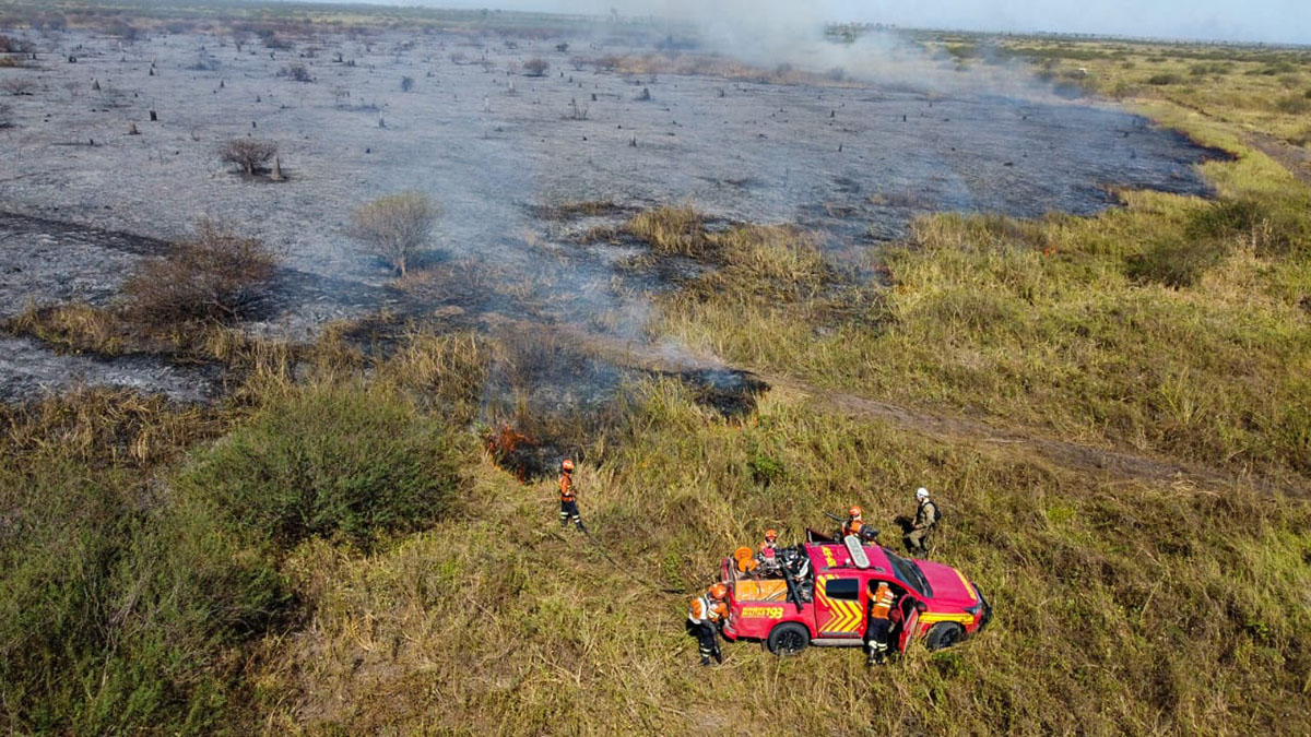 Pantaneiros elogiam ação coordenada contra o fogo e destacam bombeiros: ‘sem eles, seria derrota na certa’