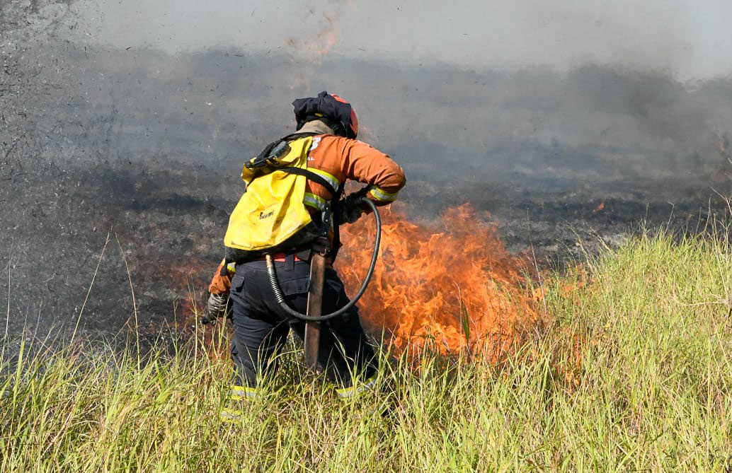 Pantaneiros elogiam ação coordenada contra o fogo e destacam bombeiros: ‘sem eles, seria derrota na certa’