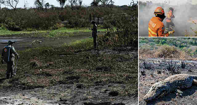 Hist&oacute;ria que se repete: inc&ecirc;ndios e crise h&iacute;drica testam resili&ecirc;ncia do Pantanal