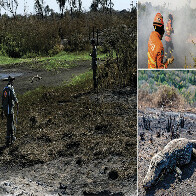 Hist&oacute;ria que se repete: inc&ecirc;ndios e crise h&iacute;drica testam resili&ecirc;ncia do Pantanal
