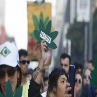 Maioria do STF descriminaliza porte de maconha para uso pessoal