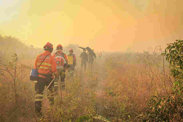 Prefeitura de Corumb&aacute; defende a&ccedil;&atilde;o conjunta para combater inc&ecirc;ndios no Pantanal 