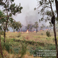 MPMS, PMA e Governo de MS verificam as causas de inc&ecirc;ndios no Pantanal