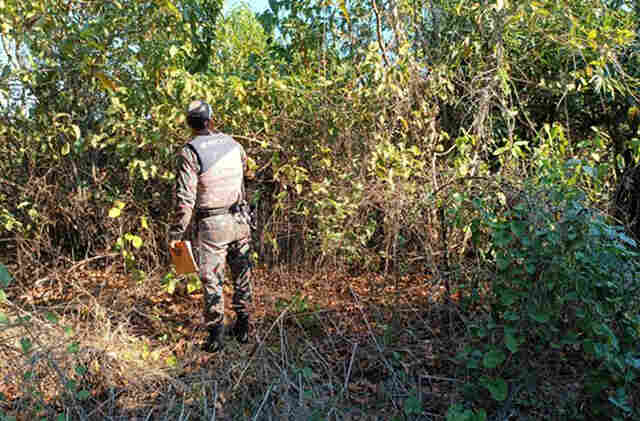 Trabalho conjunto entre Governo de MS e Minist&eacute;rio P&uacute;blico apura causas de inc&ecirc;ndios no Pantanal
