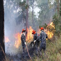 Sob coordena&ccedil;&atilde;o dos bombeiros de MS, For&ccedil;a Nacional j&aacute; atua no combate ao fogo no Pantanal