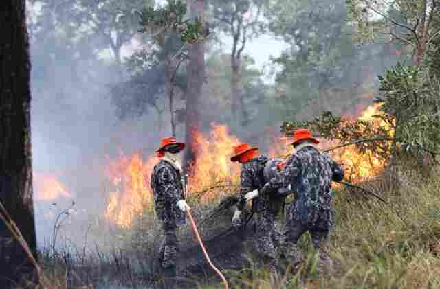 Sob coordena&ccedil;&atilde;o dos bombeiros de MS, For&ccedil;a Nacional j&aacute; atua no combate ao fogo no Pantanal