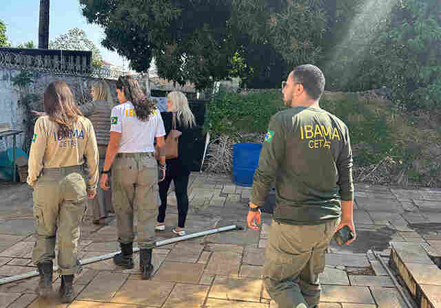 T&eacute;cnicos do Ibama de Bras&iacute;lia visitam Centro Emergencial de Reabilita&ccedil;&atilde;o aos Animais Silvestres