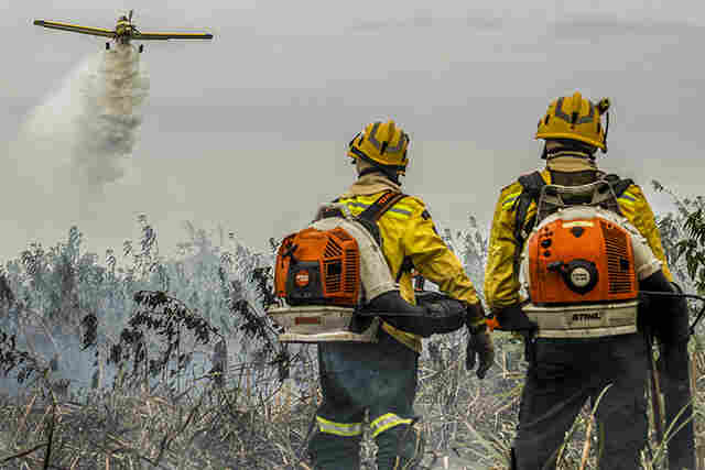 Pantanal tem este ano maior &aacute;rea queimada em junho