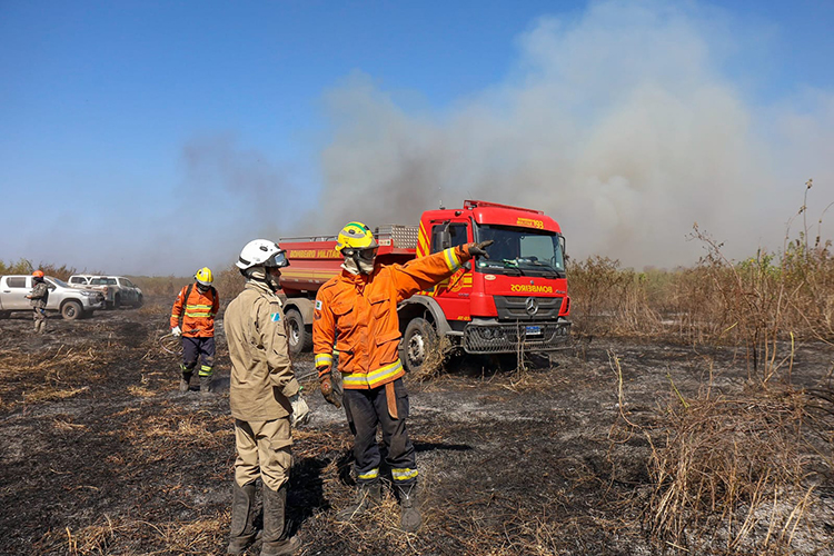 Esfor&ccedil;o coletivo: Governo de MS e For&ccedil;a Nacional trabalham em conjunto para combater focos no Pantanal