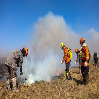 Esfor&ccedil;o coletivo: Governo de MS e For&ccedil;a Nacional trabalham em conjunto para combater focos no Pantanal