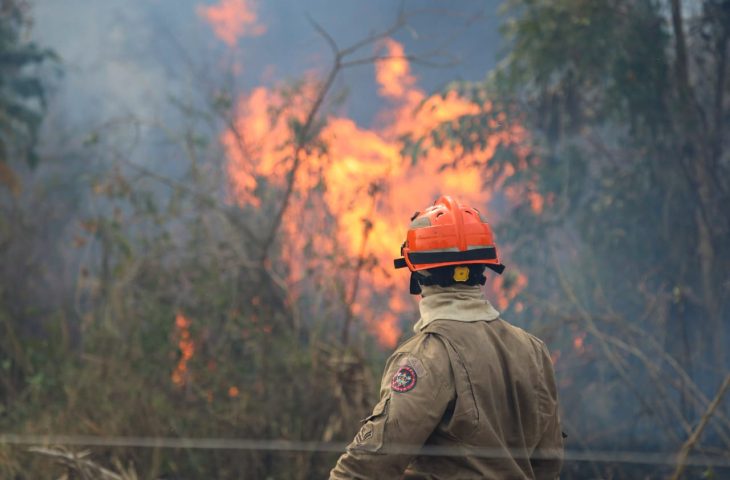Opera&ccedil;&atilde;o Pantanal: bombeiros de MS lutam para conter grandes chamas na regi&atilde;o do Nabileque