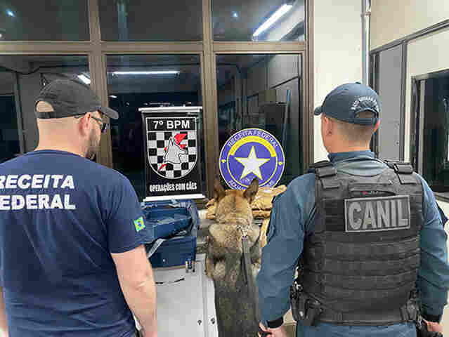 Passageiro &eacute; detido com skunk durante fiscaliza&ccedil;&atilde;o na BR-262, com o uso de c&atilde;o de faro