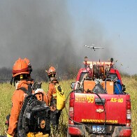 Trabalho intenso e coordenado dos Bombeiros e parceiros reduz focos de inc&ecirc;ndios no Pantanal