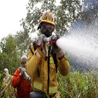 Ministra Marina Silva detalha opera&ccedil;&otilde;es de combate a inc&ecirc;ndio no Pantanal e anuncia que 30 dos 54 focos registrados na regi&atilde;o foram extintos (55%)