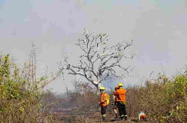 V&iacute;deo: focos ativos na regi&atilde;o de Maracangalha, no Pantanal de MS, mobilizam bombeiros e brigadistas