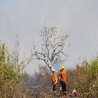 V&iacute;deo: focos ativos na regi&atilde;o de Maracangalha, no Pantanal de MS, mobilizam bombeiros e brigadistas