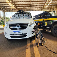 C&atilde;es farejadores da PRF encontram 28 Kg de coca&iacute;na em ve&iacute;culo que saiu de Corumb&aacute;