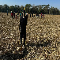 Comitiva federal visita &aacute;reas de conflitos ind&iacute;genas em MS