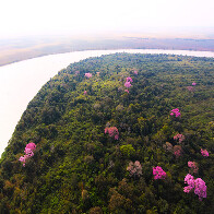 Resili&ecirc;ncia: Pantanal Sul-mato-grossense se revela um gigante cheio de vida