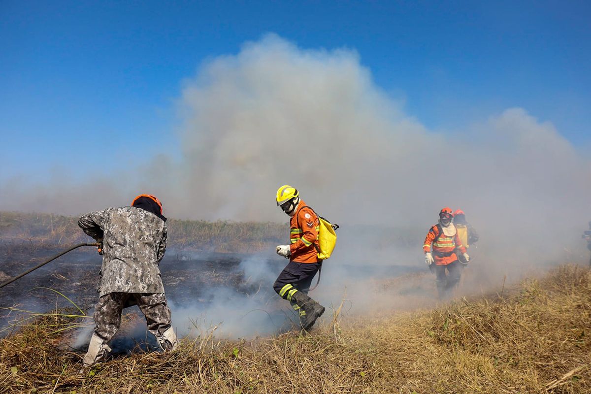 Com seis focos ativos, incêndios no Pantanal são intensificados devido a condições climáticas extremas