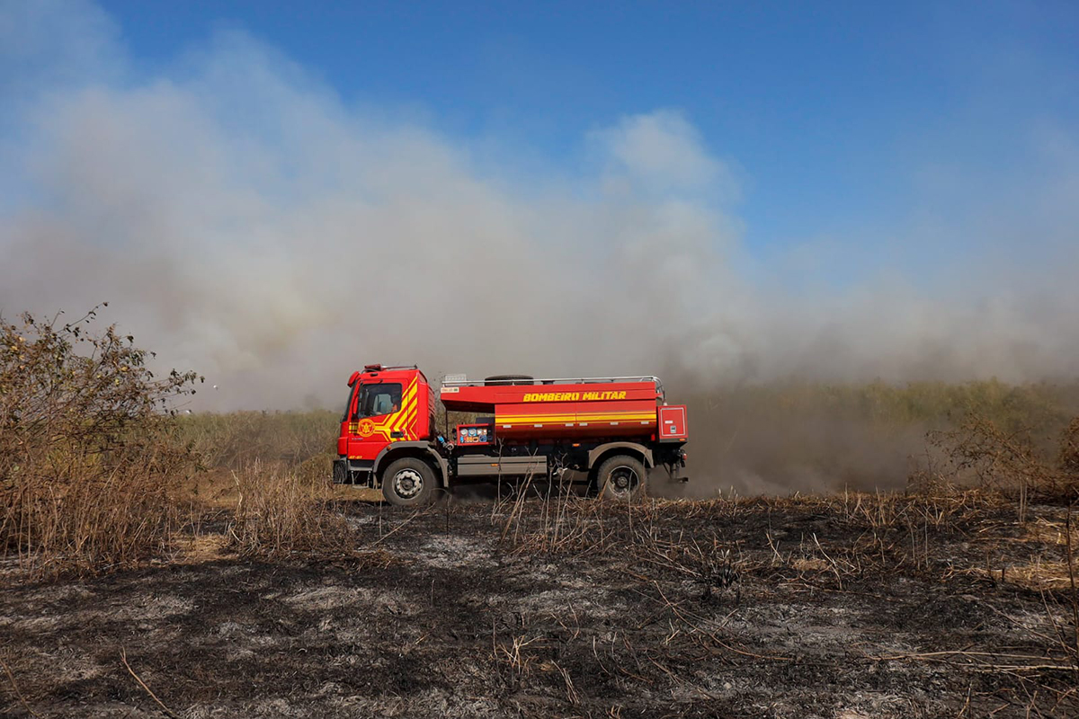 Com seis focos ativos, incêndios no Pantanal são intensificados devido a condições climáticas extremas
