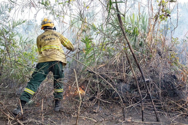 Opera&ccedil;&atilde;o Pantanal mobiliza 700 profissionais do Governo Federal
