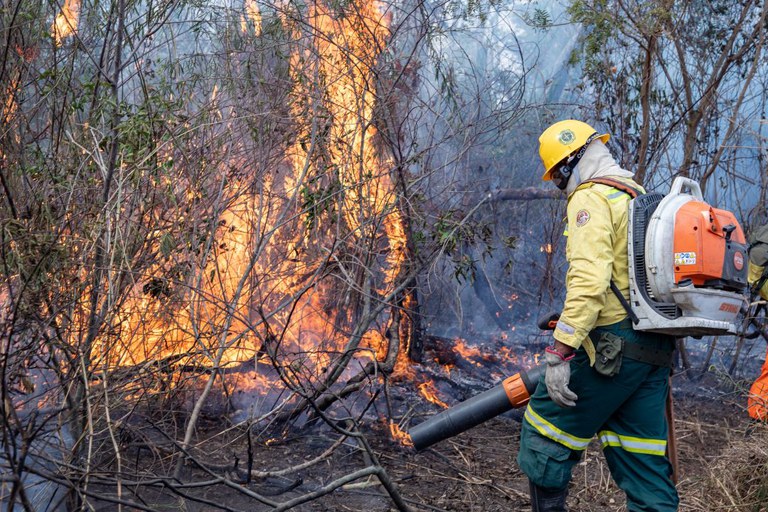 Opera&ccedil;&atilde;o Pantanal mobiliza 700 profissionais do Governo Federal