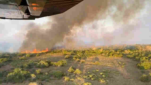 Inc&ecirc;ndio que teve in&iacute;cio em caminh&atilde;o atolado se alastra e mobiliza equipes no Pantanal