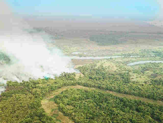 Novo Relat&oacute;rio do MPMS: inc&ecirc;ndios no Pantanal da primeira quinzena de julho foram vistoriados em menos de uma semana