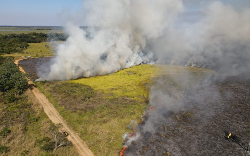 MS se destaca como pioneiro na implementa&ccedil;&atilde;o do Manejo Integrado do Fogo como preven&ccedil;&atilde;o a inc&ecirc;ndios