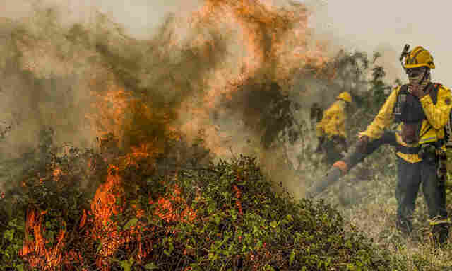 Fogo j&aacute; consumiu 1,3 milh&atilde;o de hectares e volta a aumentar no Pantanal