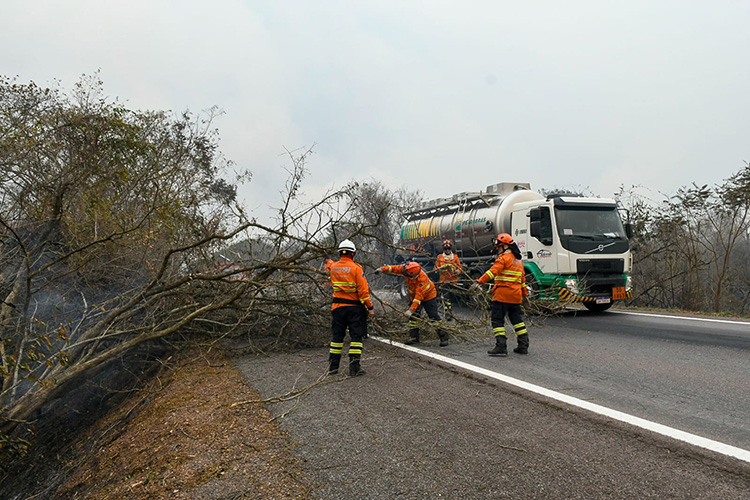 Chuva de 20 mm chega a v&aacute;rias regi&otilde;es do Pantanal e ajuda a controlar inc&ecirc;ndios florestais em MS