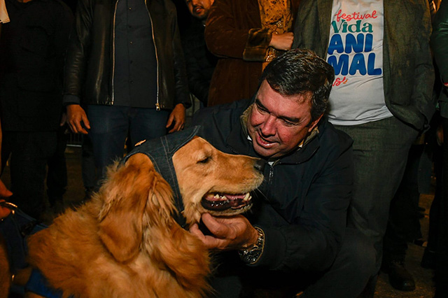 Avan&ccedil;o: Governo de MS inclui participa&ccedil;&atilde;o de protetores em programa de defesa &agrave; vida animal