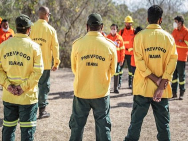 MPMS articula com Prevfogo curso para peritos combaterem inc&ecirc;ndios no Pantanal
